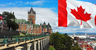 gallery/cdmx-canadá