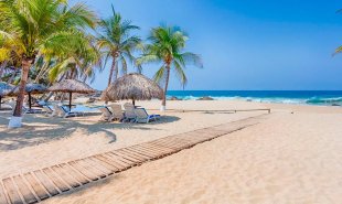 gallery/cdmx-pto escondido